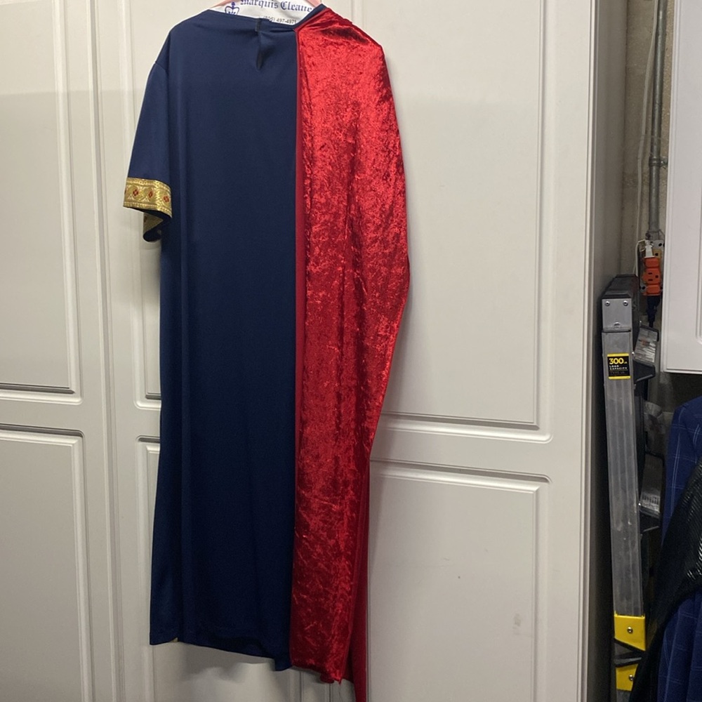 Roman Caesar Halloween costume. - Picture 2 of 3